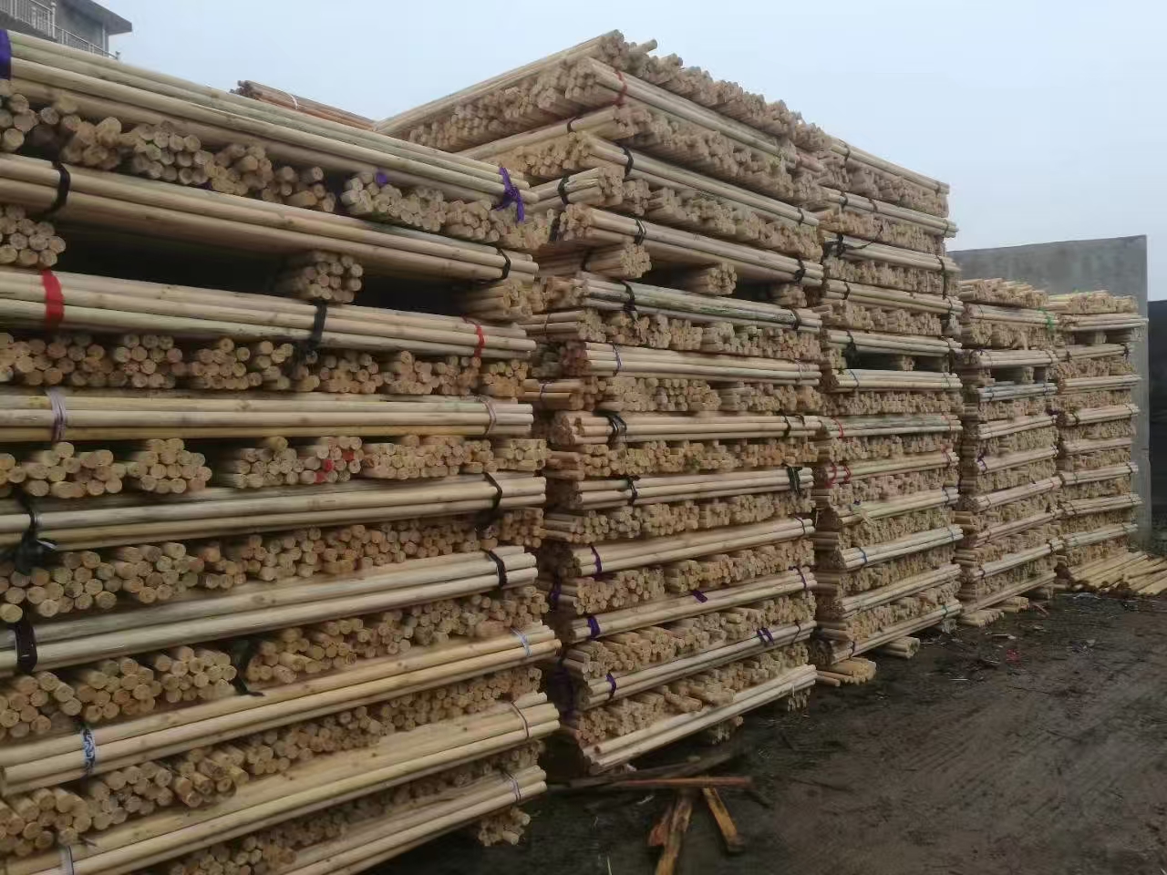 进口新西兰辐射松木芯